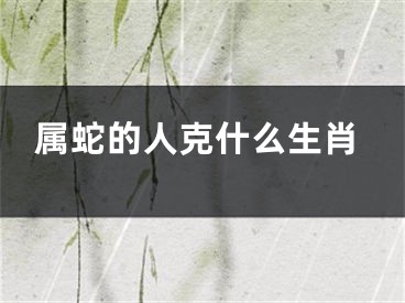 属蛇的人克什么生肖