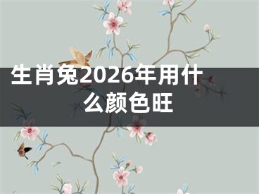 生肖兔2026年用什么颜色旺