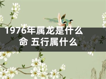 1976年属龙是什么命 五行属什么
