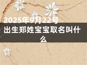 2025年9月22号出生郑姓宝宝取名叫什么