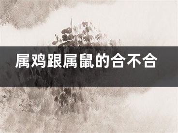 属鸡跟属鼠的合不合