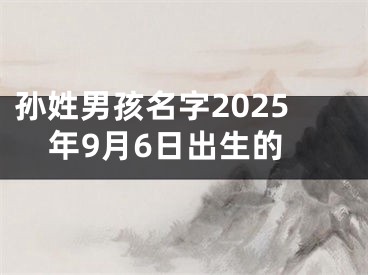 孙姓男孩名字2025年9月6日出生的