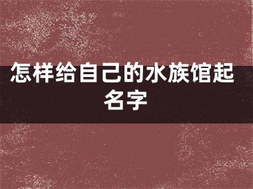 怎样给自己的水族馆起名字