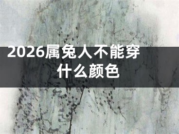 2026属兔人不能穿什么颜色