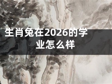 生肖兔在2026的学业怎么样