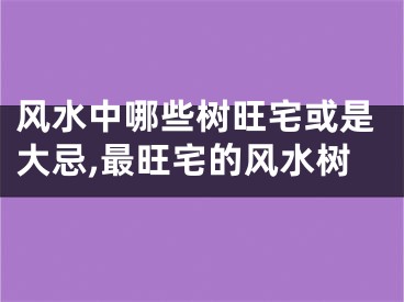 风水中哪些树旺宅或是大忌,最旺宅的风水树