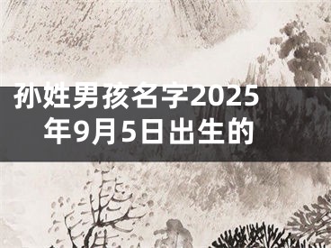 孙姓男孩名字2025年9月5日出生的