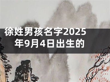 徐姓男孩名字2025年9月4日出生的