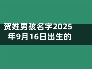 贺姓男孩名字2025年9月16日出生的
