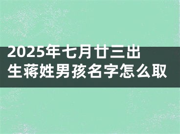 2025年七月廿三出生蒋姓男孩名字怎么取
