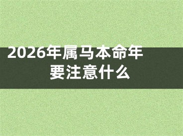 2026年属马本命年要注意什么
