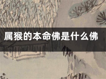 属猴的本命佛是什么佛