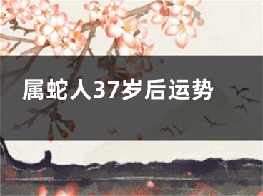 属蛇人37岁后运势