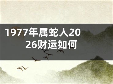 1977年属蛇人2026财运如何