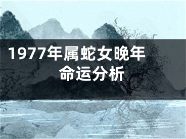 1977年属蛇女晚年命运分析