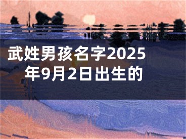 武姓男孩名字2025年9月2日出生的