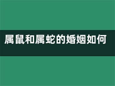 属鼠和属蛇的婚姻如何