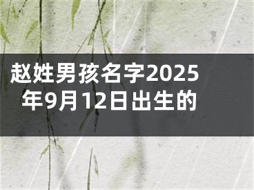 赵姓男孩名字2025年9月12日出生的