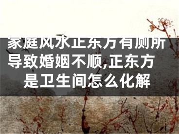 家庭风水正东方有厕所导致婚姻不顺,正东方是卫生间怎么化解