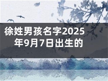 徐姓男孩名字2025年9月7日出生的