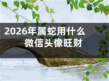 2026年属蛇用什么微信头像旺财