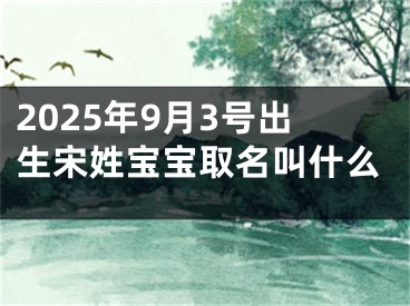 2025年9月3号出生宋姓宝宝取名叫什么