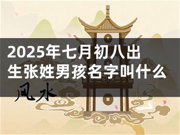 2025年七月初八出生张姓男孩名字叫什么