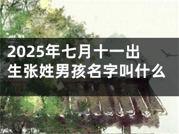 2025年七月十一出生张姓男孩名字叫什么