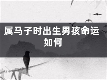 属马子时出生男孩命运如何