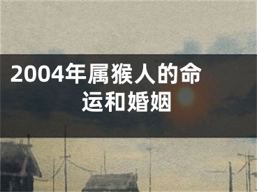 2004年属猴人的命运和婚姻