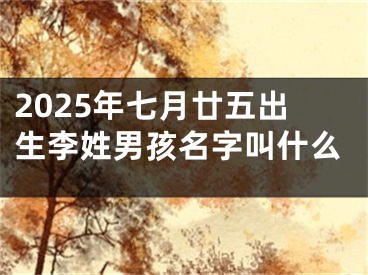 2025年七月廿五出生李姓男孩名字叫什么