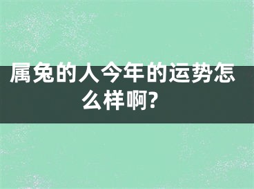 属兔的人今年的运势怎么样啊?