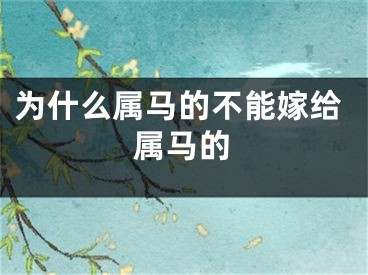 为什么属马的不能嫁给属马的