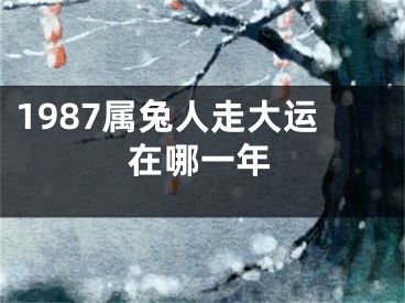 1987属兔人走大运在哪一年