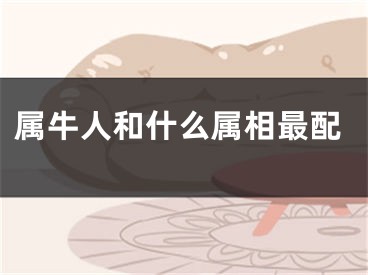 属牛人和什么属相最配