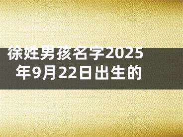 徐姓男孩名字2025年9月22日出生的