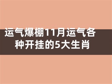 运气爆棚11月运气各种开挂的5大生肖