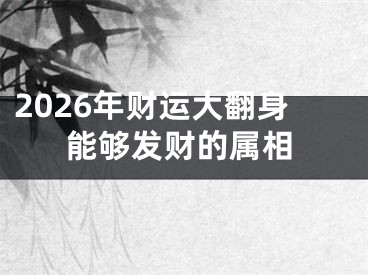 2026年财运大翻身能够发财的属相