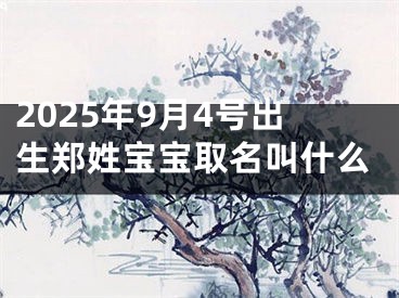 2025年9月4号出生郑姓宝宝取名叫什么