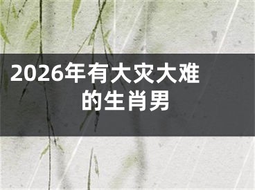 2026年有大灾大难的生肖男
