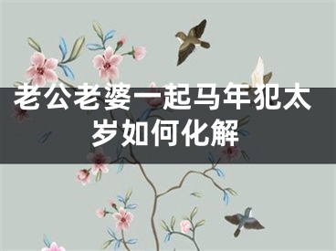 老公老婆一起马年犯太岁如何化解