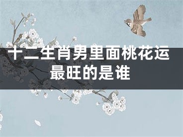十二生肖男里面桃花运最旺的是谁