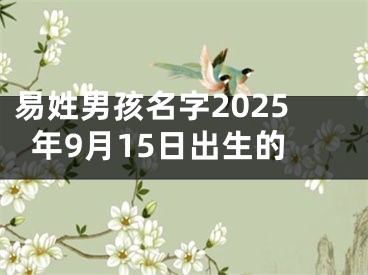 易姓男孩名字2025年9月15日出生的