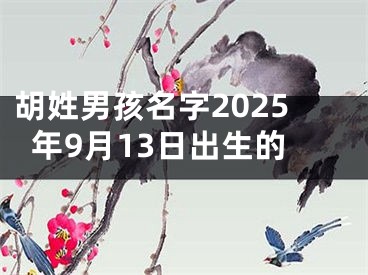 胡姓男孩名字2025年9月13日出生的