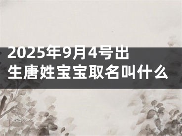 2025年9月4号出生唐姓宝宝取名叫什么
