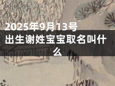 2025年9月13号出生谢姓宝宝取名叫什么