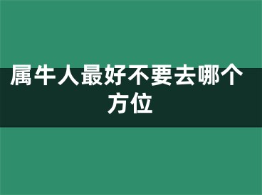 属牛人最好不要去哪个方位
