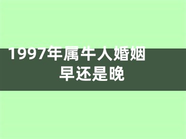 1997年属牛人婚姻早还是晚