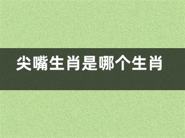 尖嘴生肖是哪个生肖