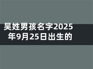 吴姓男孩名字2025年9月25日出生的
